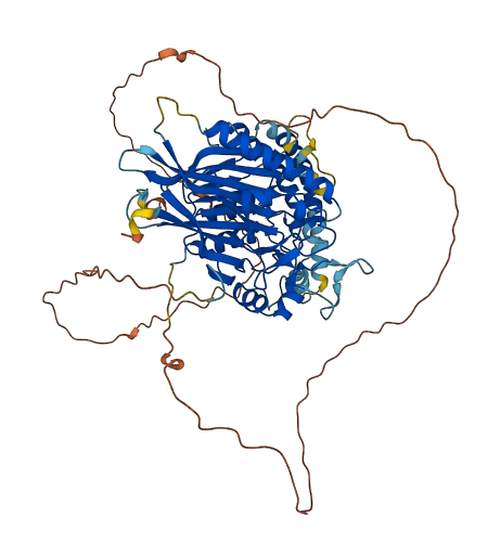 SMPD3 3D structure