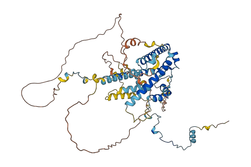 AATF 3D structure