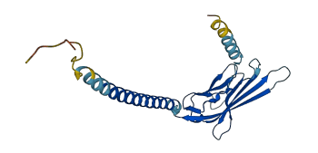 SCN3B 3D structure