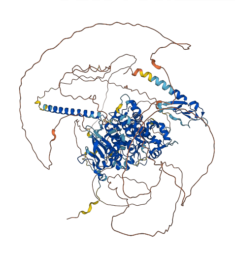MTMR4 3D structure