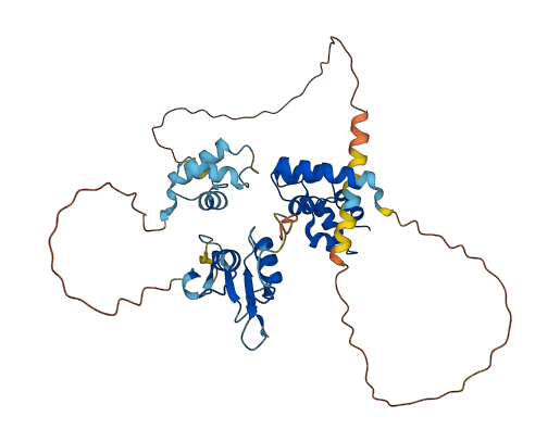 TERF2IP 3D structure