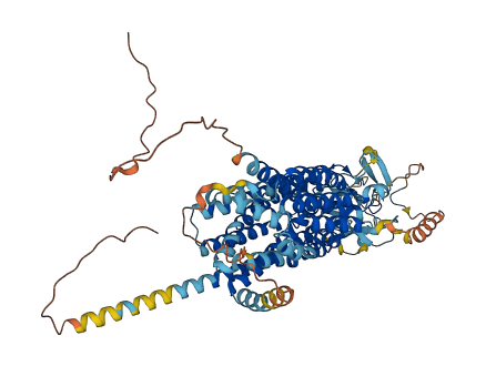 SLCO1C1 3D structure