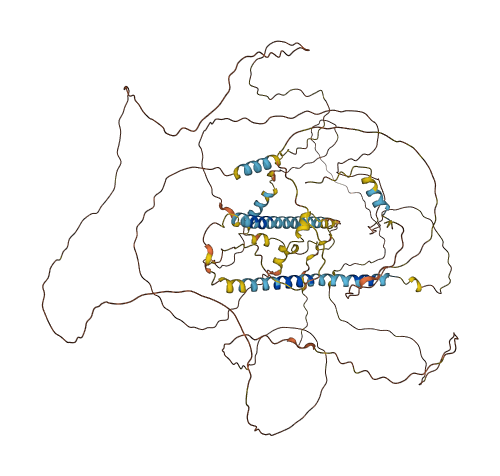 DACT1 3D structure
