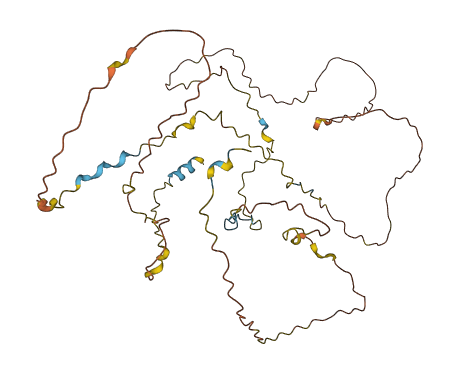 FAM53C 3D structure
