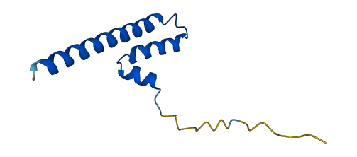 COA4 3D structure
