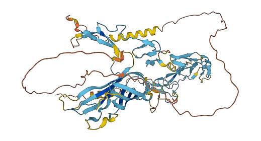 DLL3 3D structure