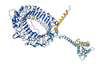 TLR7 3D structure