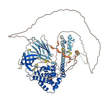 MAP3K20 3D structure