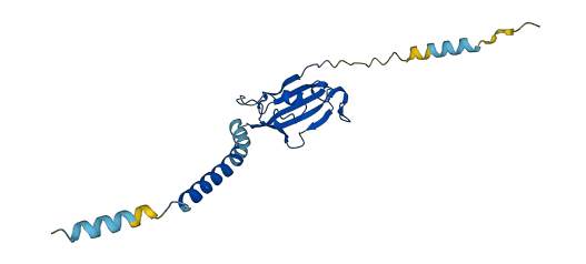 FKBP11 3D structure