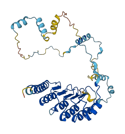 TMOD3 3D structure