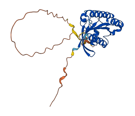 RASL12 3D structure
