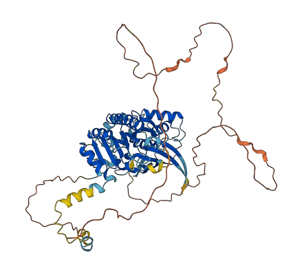 DONSON 3D structure
