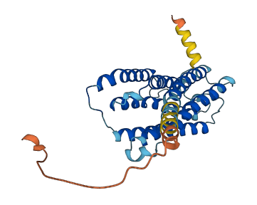 ELOVL5 3D structure