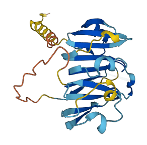 C21orf62 3D structure