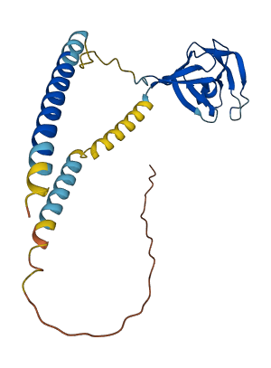 MIS18A 3D structure