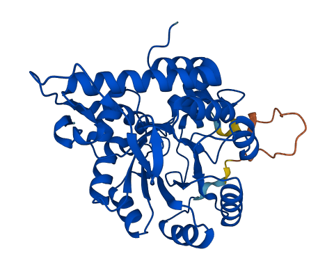 HAO2 3D structure