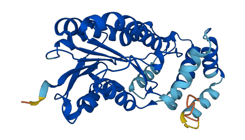 RDH8 3D structure