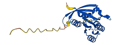 NKIRAS2 3D structure