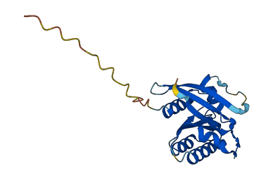 NKIRAS1 3D structure