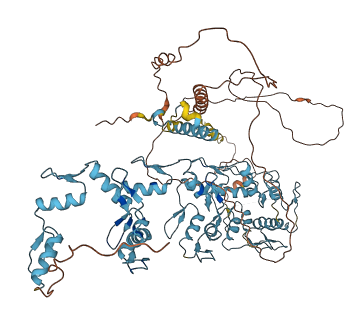 ZNF226 3D structure