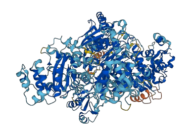 UGGT2 3D structure