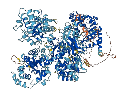 UGGT1 3D structure