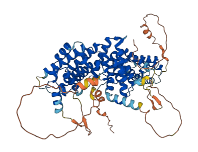 RRN3 3D structure