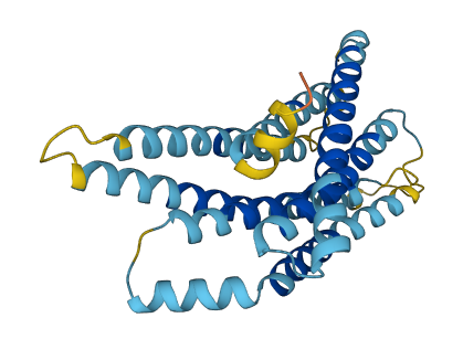 TAS2R16 3D structure