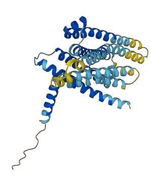 TAS2R14 3D structure