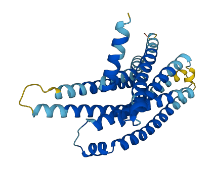 TAS2R13 3D structure