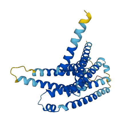 TAS2R10 3D structure