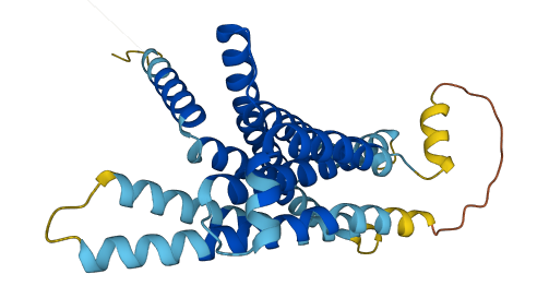 TAS2R9 3D structure