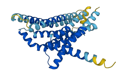 TAS2R7 3D structure