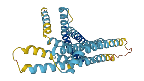 TAS2R5 3D structure