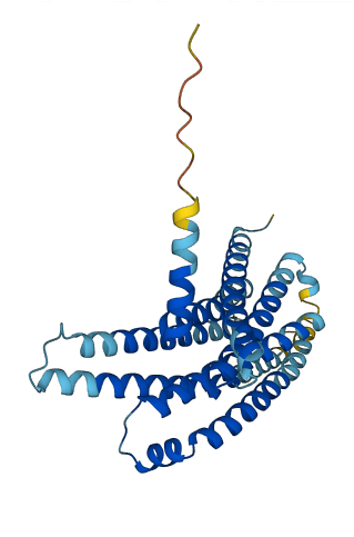 TAS2R3 3D structure