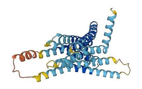 TAS2R1 3D structure