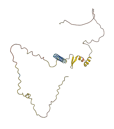 CALY 3D structure