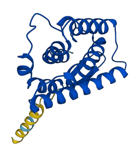 IL20 3D structure