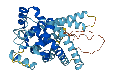 SLC25A37 3D structure