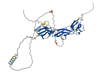 SIGLEC8 3D structure