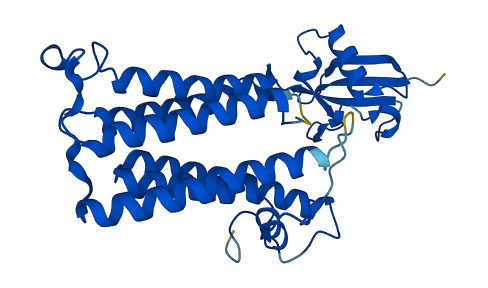 TECR 3D structure