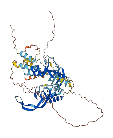 PLA2G3 3D structure
