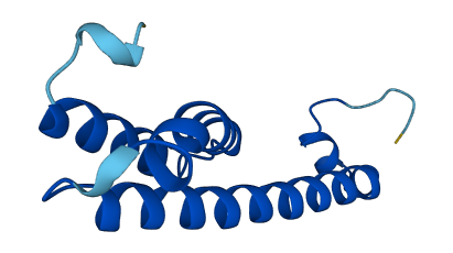PSENEN 3D structure
