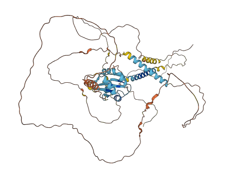 PODXL2 3D structure