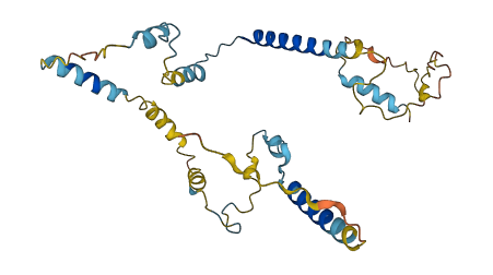 C9orf78 3D structure