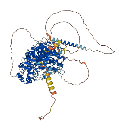NLGN3 3D structure