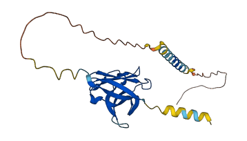 TREM2 3D structure