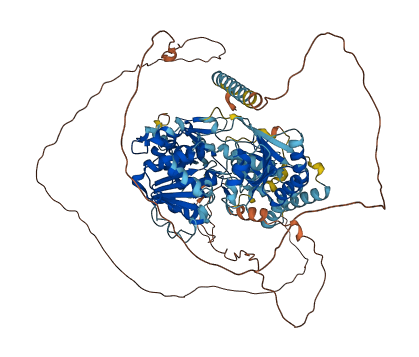 SMARCAL1 3D structure