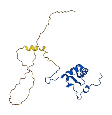 MRPL35 3D structure