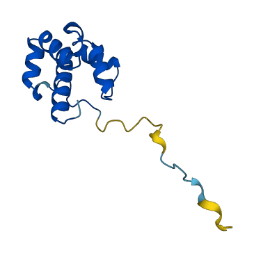 PLAC8 3D structure